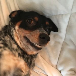 Meet your Posher, Brooke